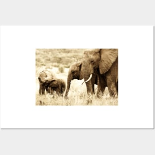 Elephant Family Posters and Art